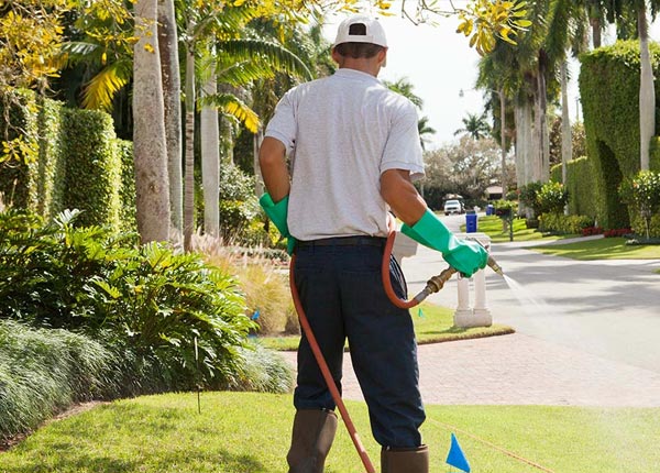 About Magnolia AR Pest Control Pros